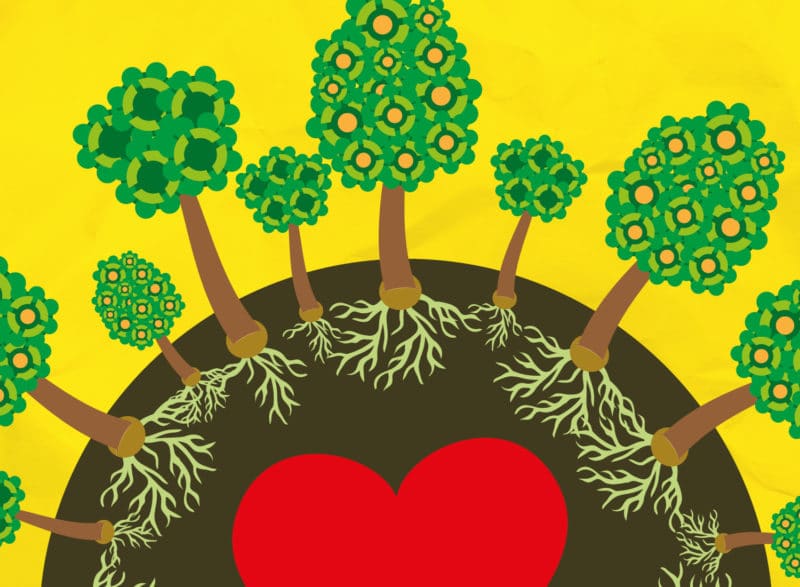 Nachhaltigkeits-Webcast_SocialPost_Baumspende_ Webcast Baumspende