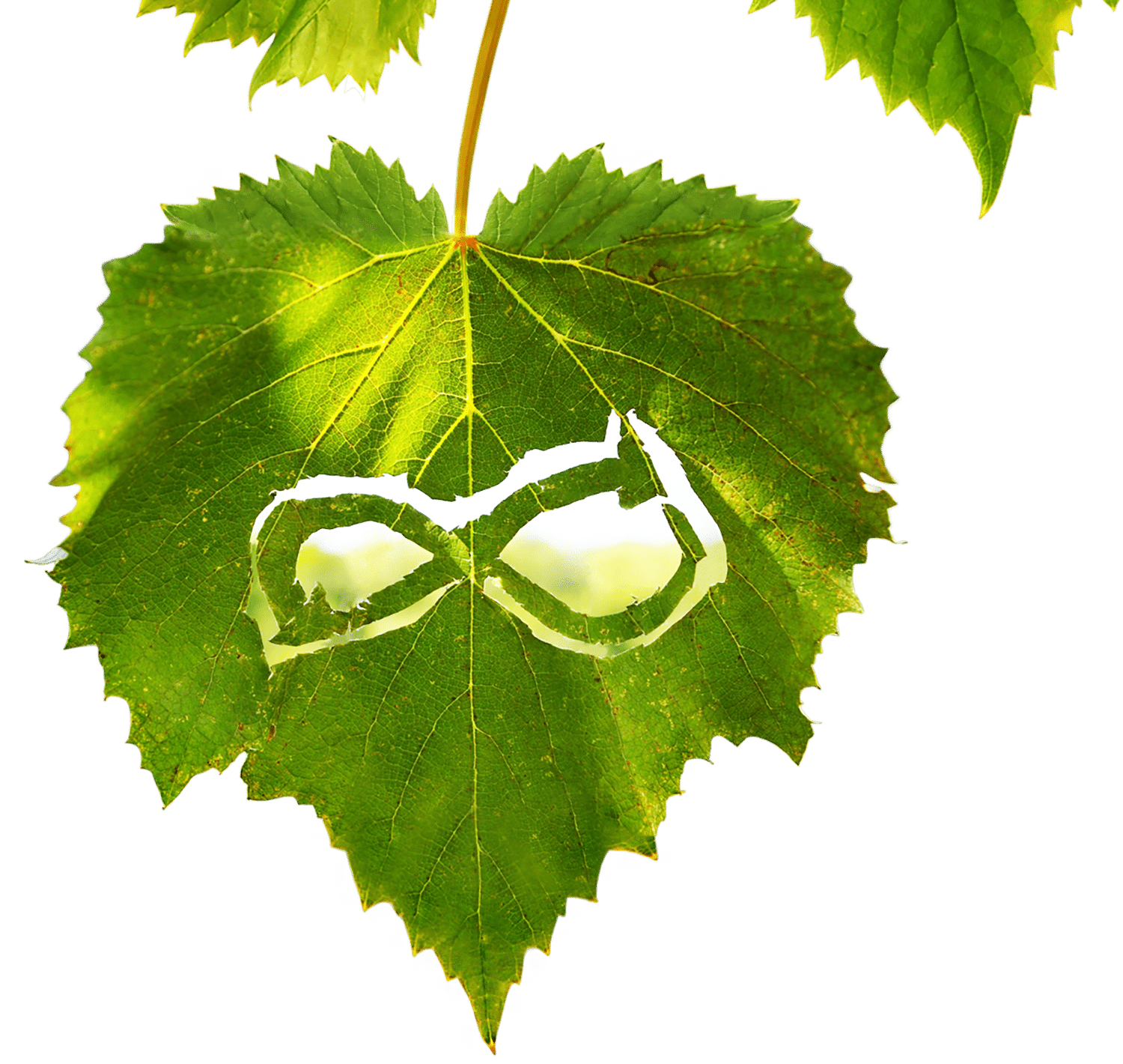 Nachhaltigkeitsbericht 2022_Titelbild_Blatt_2